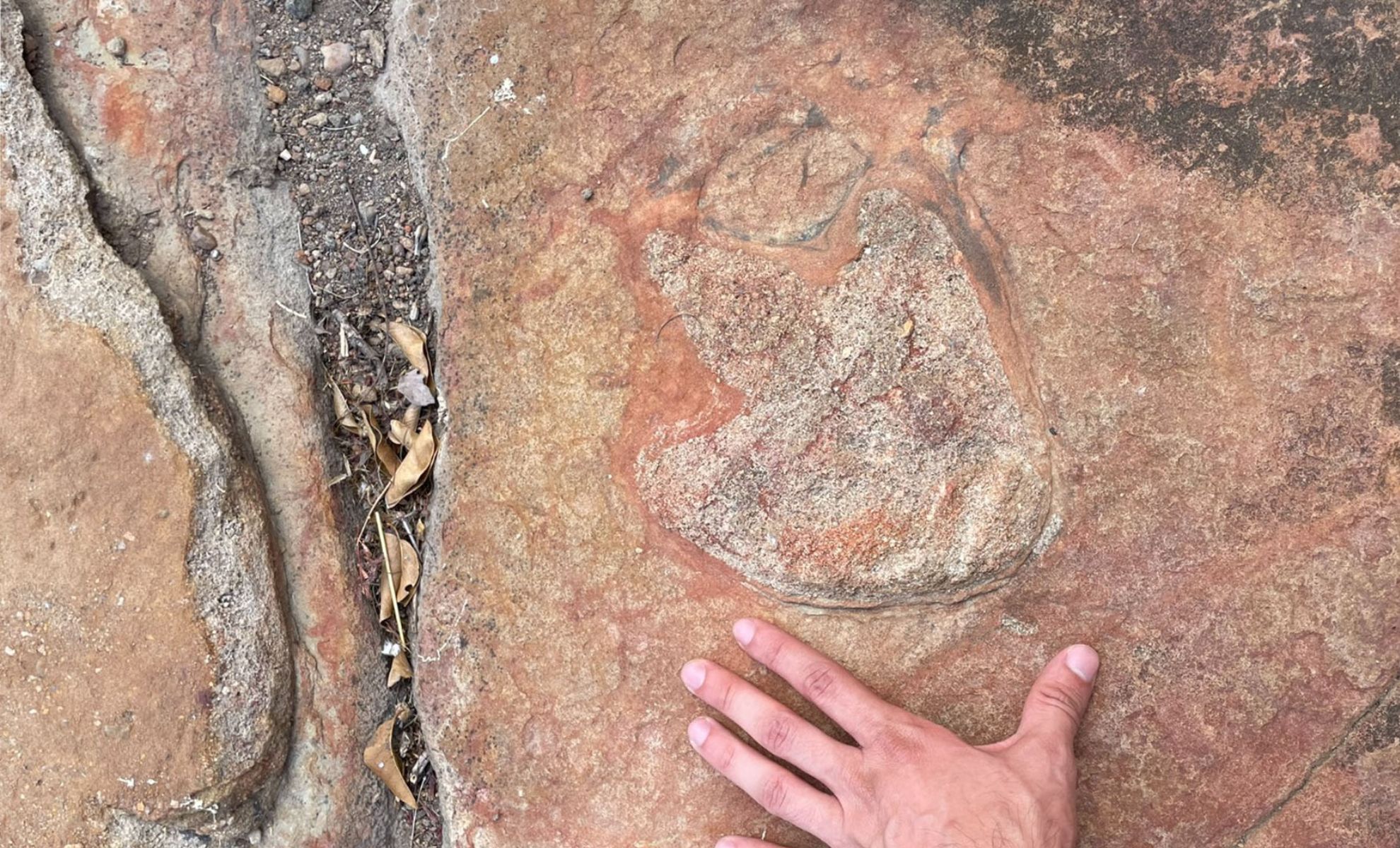 Brasiilias dinosauruste jälgede lähedalt leiti 9000 aastat vana kaljunool
